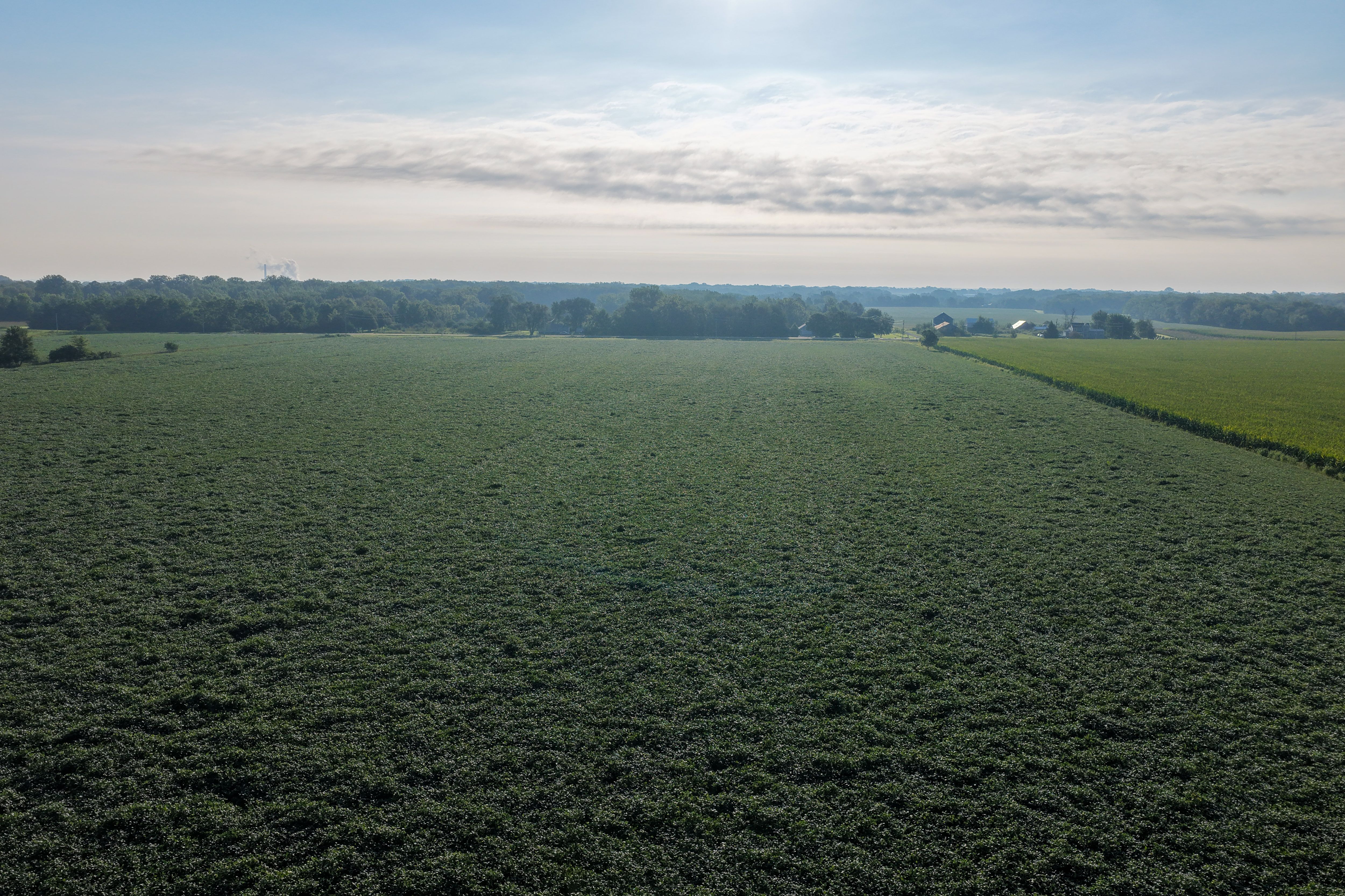 Listing Photo: 90 CSR2 Louisa County Farmland For Sale-3